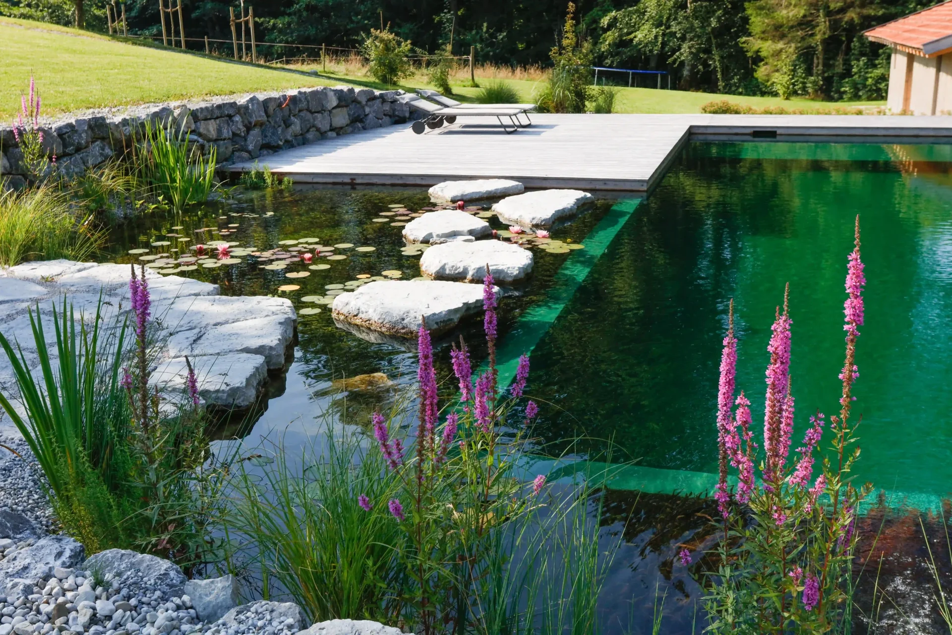 Schwimmteiche & Pools